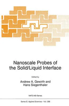 Gewirth / Siegenthaler |  Nanoscale Probes of the Solid/Liquid Interface | eBook | Sack Fachmedien