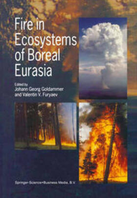 Goldammer / Furyaev |  Fire in Ecosystems of Boreal Eurasia | eBook | Sack Fachmedien