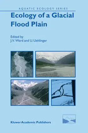 Ward / Uehlinger |  Ecology of a Glacial Flood Plain | eBook | Sack Fachmedien