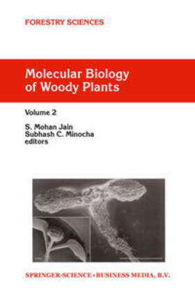 Jain / Minocha |  Molecular Biology of Woody Plants | eBook | Sack Fachmedien