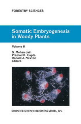 Jain / Gupta / Newton | Somatic Embryogenesis in Woody Plants | E-Book | sack.de