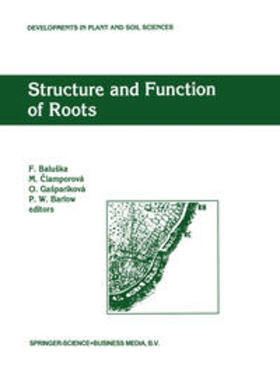 Baluska / Ciamporová / Gasparíková |  Structure and Function of Roots | eBook | Sack Fachmedien