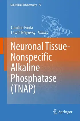 Négyessy / Fonta |  Neuronal Tissue-Nonspecific Alkaline Phosphatase (TNAP) | Buch |  Sack Fachmedien