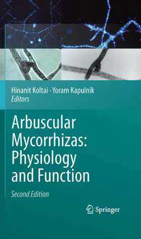 Kapulnik / Koltai |  Arbuscular Mycorrhizas: Physiology and Function | Buch |  Sack Fachmedien