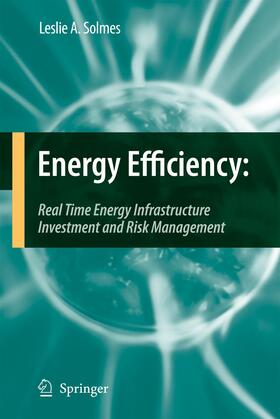 Solmes |  Energy Efficiency | Buch |  Sack Fachmedien