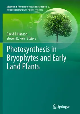 Rice / Hanson |  Photosynthesis in Bryophytes and Early Land Plants | Buch |  Sack Fachmedien