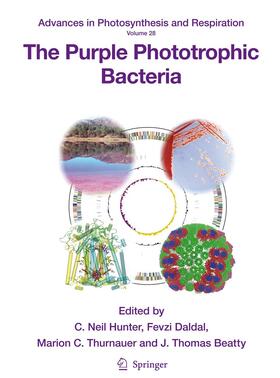 Hunter / Beatty / Daldal |  The Purple Phototrophic Bacteria | Buch |  Sack Fachmedien