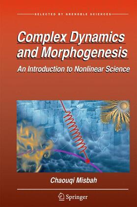 Misbah |  Complex Dynamics and Morphogenesis | Buch |  Sack Fachmedien