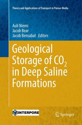 Niemi / Bensabat / Bear |  Geological Storage of CO2 in Deep Saline Formations | Buch |  Sack Fachmedien