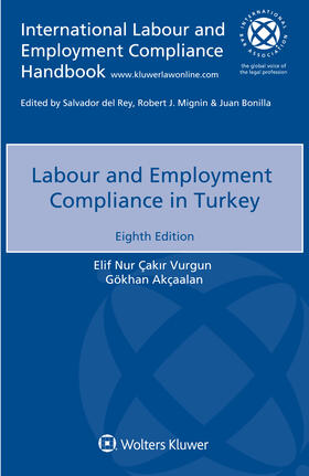 Vurgun / Kökenek |  Labour and Employment Compliance in Turkey | Buch |  Sack Fachmedien