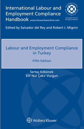 Kökenek / Vurgun |  Labour and Employment Compliance in Turkey | Buch |  Sack Fachmedien