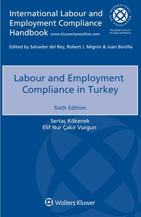 Kökenek / Çakir Vurgun |  Labour and Employment Compliance in Turkey | Buch |  Sack Fachmedien