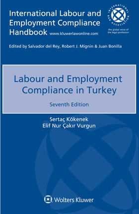 Kökenek / Vurgun |  Labour and Employment Compliance in Turkey | Buch |  Sack Fachmedien