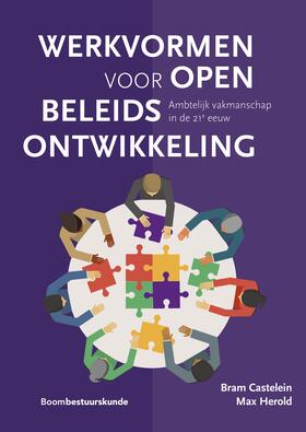 Castelein / Herold |  Werkvormen voor open beleidsontwikkeling | Buch |  Sack Fachmedien