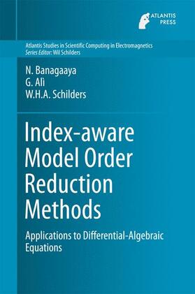 Banagaaya / Schilders / Alì |  Index-aware Model Order Reduction Methods | Buch |  Sack Fachmedien