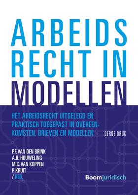 Bruijn / Janssens / Kersten | Arbeidsrecht in modellen | Buch | 978-94-6290-664-8 | sack.de