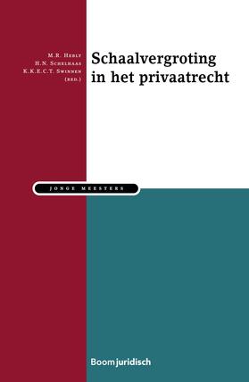Hebly / Schelhaas / Swinnen |  Schaalvergroting in het privaatrecht | Buch |  Sack Fachmedien