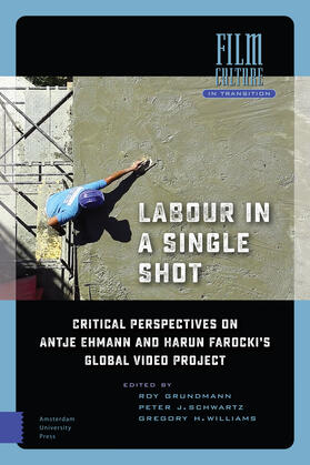 Grundmann / Schwartz / Williams |  Labour in a Single Shot | Buch |  Sack Fachmedien