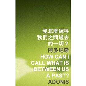 Bei |  How Can I Call What it is Between Us a Past? | Buch |  Sack Fachmedien