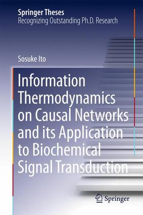 Ito |  Information Thermodynamics on Causal Networks and its Application to Biochemical Signal Transduction | Buch |  Sack Fachmedien