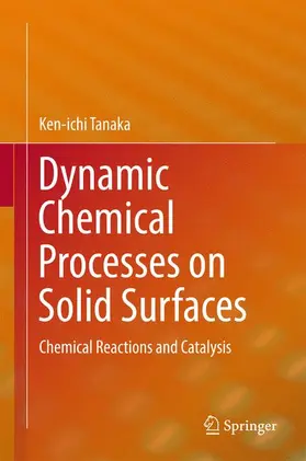 Tanaka |  Dynamic Chemical Processes on Solid Surfaces | Buch |  Sack Fachmedien