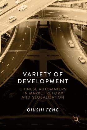 Feng |  Variety of Development | Buch |  Sack Fachmedien