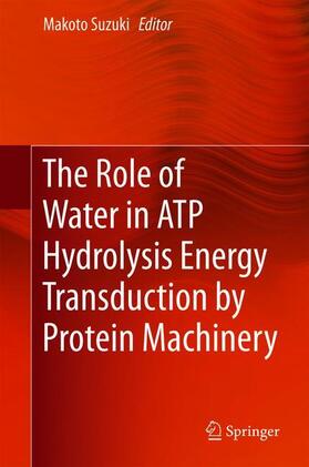 Suzuki |  The Role of Water in ATP Hydrolysis Energy Transduction by Protein Machinery | Buch |  Sack Fachmedien