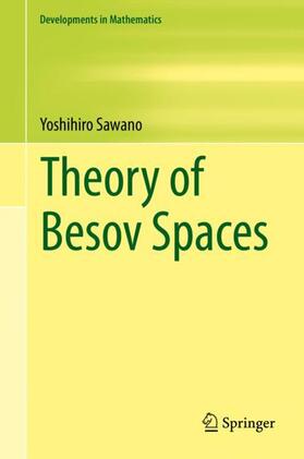 Sawano |  Theory of Besov Spaces | Buch |  Sack Fachmedien