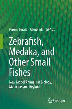 Iida / Hirata |  Zebrafish, Medaka, and Other Small Fishes | Buch |  Sack Fachmedien