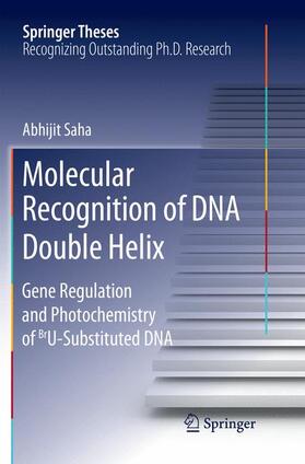 Saha |  Molecular Recognition of DNA Double Helix | Buch |  Sack Fachmedien