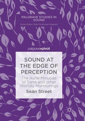 Street |  Sound at the Edge of Perception: The Aural Minutiae of Sand and Other Worldly Murmurings | Buch |  Sack Fachmedien