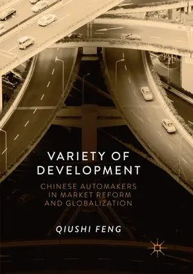 Feng |  Variety of Development | Buch |  Sack Fachmedien