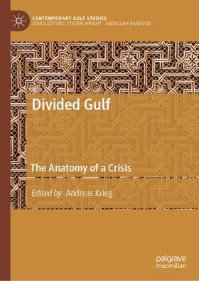 Krieg |  Divided Gulf | Buch |  Sack Fachmedien
