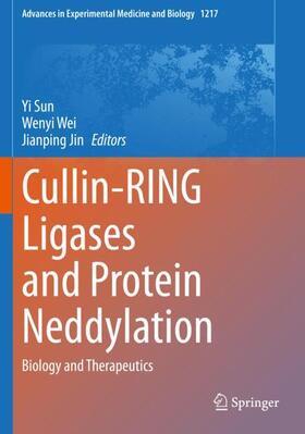 Sun / Jin / Wei |  Cullin-RING Ligases and Protein Neddylation | Buch |  Sack Fachmedien