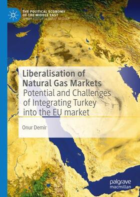 Demir |  Liberalisation of Natural Gas Markets | Buch |  Sack Fachmedien
