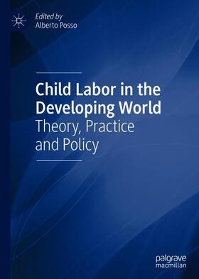 Posso |  Child Labor in the Developing World | Buch |  Sack Fachmedien