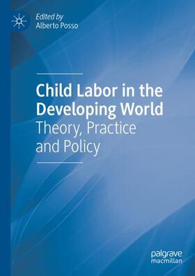 Posso |  Child Labor in the Developing World | Buch |  Sack Fachmedien