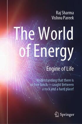 Pareek / Sharma |  The World of Energy | Buch |  Sack Fachmedien