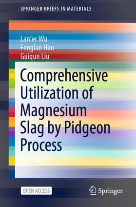 Wu / Liu / Han |  Comprehensive Utilization of Magnesium Slag by Pidgeon Process | Buch |  Sack Fachmedien