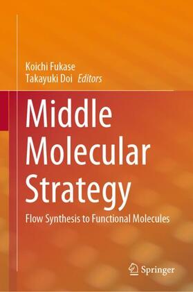 Doi / Fukase |  Middle Molecular Strategy | Buch |  Sack Fachmedien