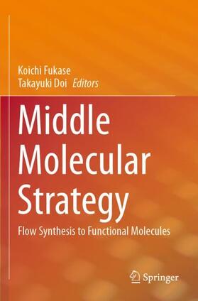 Doi / Fukase |  Middle Molecular Strategy | Buch |  Sack Fachmedien