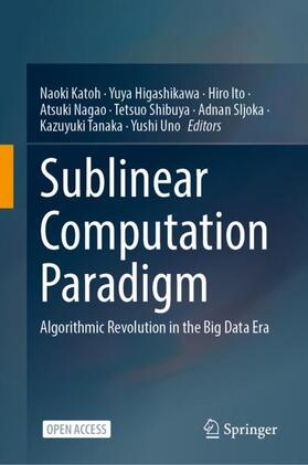Katoh / Higashikawa / Ito |  Sublinear Computation Paradigm | Buch |  Sack Fachmedien