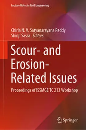 Reddy / Sassa |  Scour- and Erosion-Related Issues | eBook | Sack Fachmedien