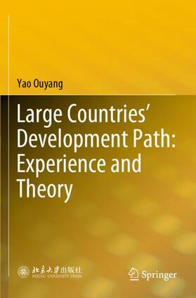 Ouyang |  Large Countries¿ Development Path: Experience and Theory | Buch |  Sack Fachmedien