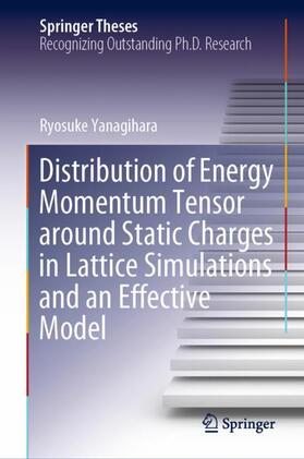 Yanagihara |  Distribution of Energy Momentum Tensor around Static Charges in Lattice Simulations and an Effective Model | Buch |  Sack Fachmedien