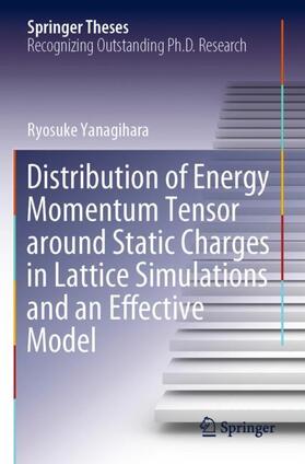 Yanagihara |  Distribution of Energy Momentum Tensor around Static Charges in Lattice Simulations and an Effective Model | Buch |  Sack Fachmedien