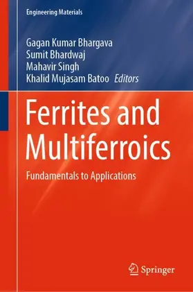 Bhargava / Batoo / Bhardwaj |  Ferrites and Multiferroics | Buch |  Sack Fachmedien