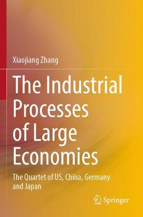 Zhang |  The Industrial Processes of Large Economies | Buch |  Sack Fachmedien