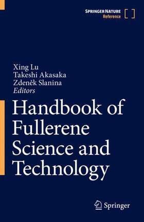 Lu / Slanina / Akasaka |  Handbook of Fullerene Science and Technology | Buch |  Sack Fachmedien