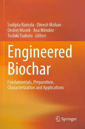 Ramola / Mohan / Tsubota |  Engineered Biochar | Buch |  Sack Fachmedien